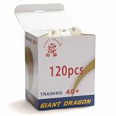 Мячи Dragon Training Silver 1* New (120 шт, бел.) в коробке